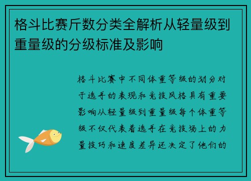 格斗比赛斤数分类全解析从轻量级到重量级的分级标准及影响